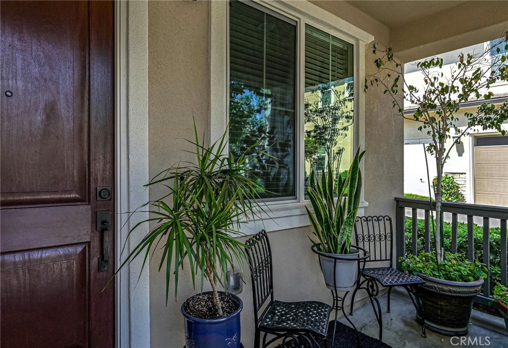 4332 WILD GINGER Circle