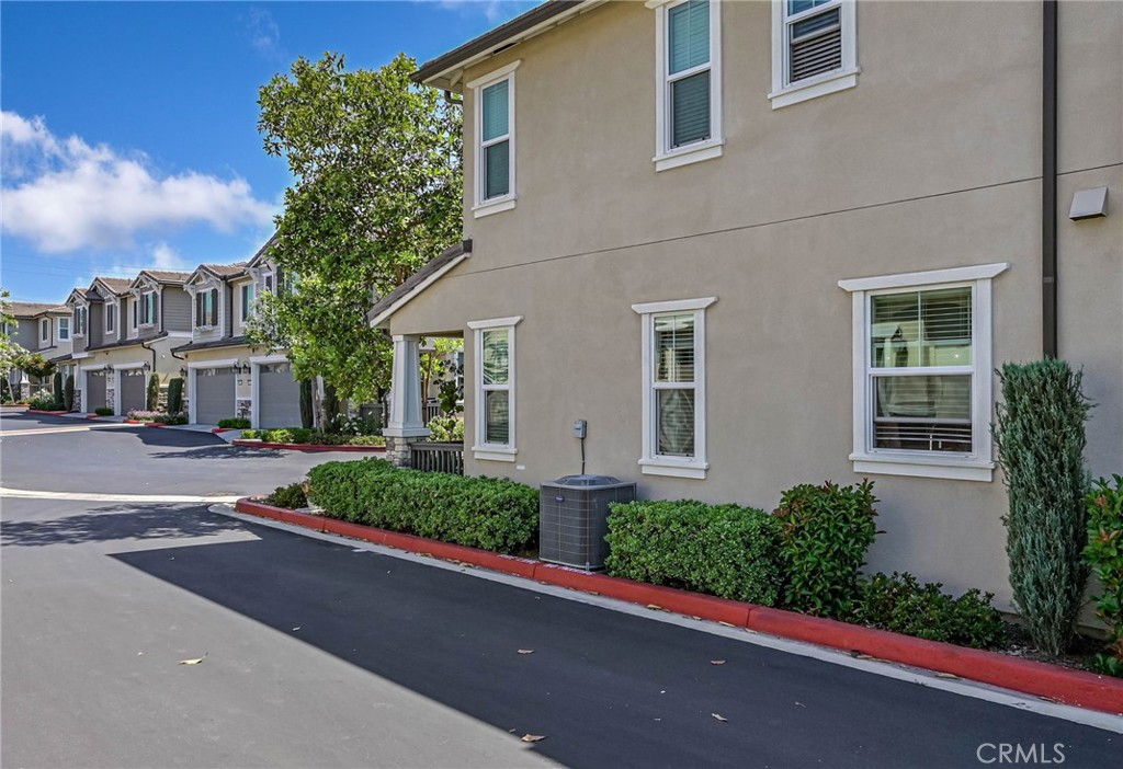 4332 WILD GINGER Circle