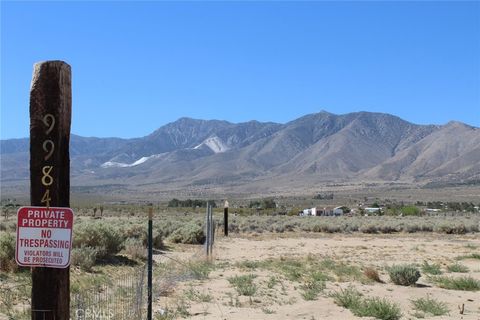 Photo of 9984 Alamo Avenue, Lucerne Valley, CA 92356 (MLS # HD25109776) Photo of 9984 Alamo Avenue, Lucerne Valley, CA 92356 (MLS # HD25109776)