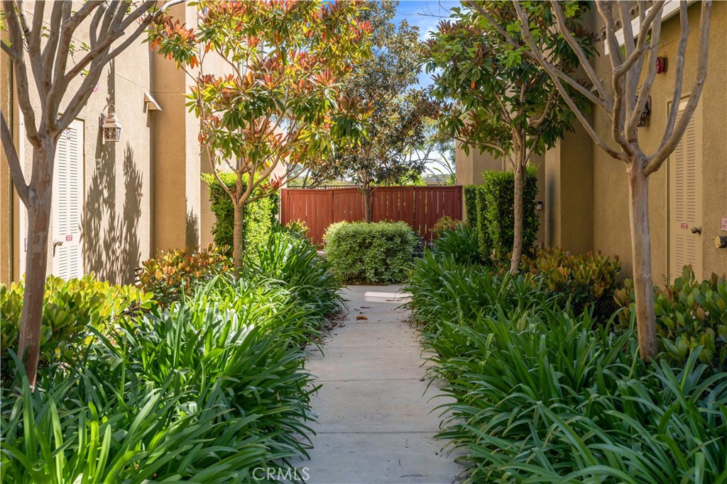 27441 Charleston Court 3