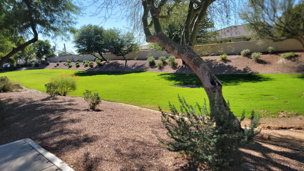 Sun City Shadow Hills (30921) - Residential