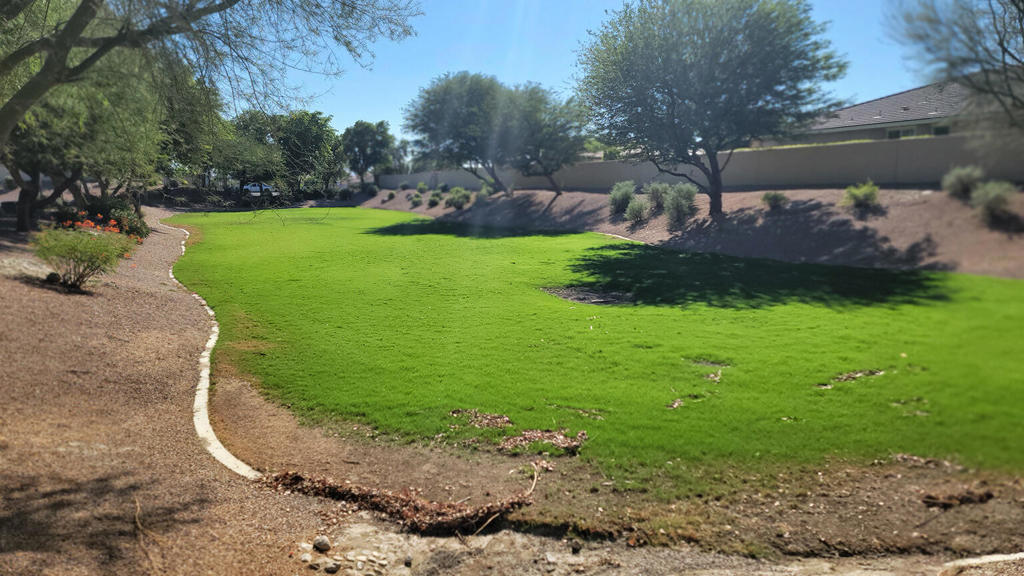 Sun City Shadow Hills (30921) - Residential
