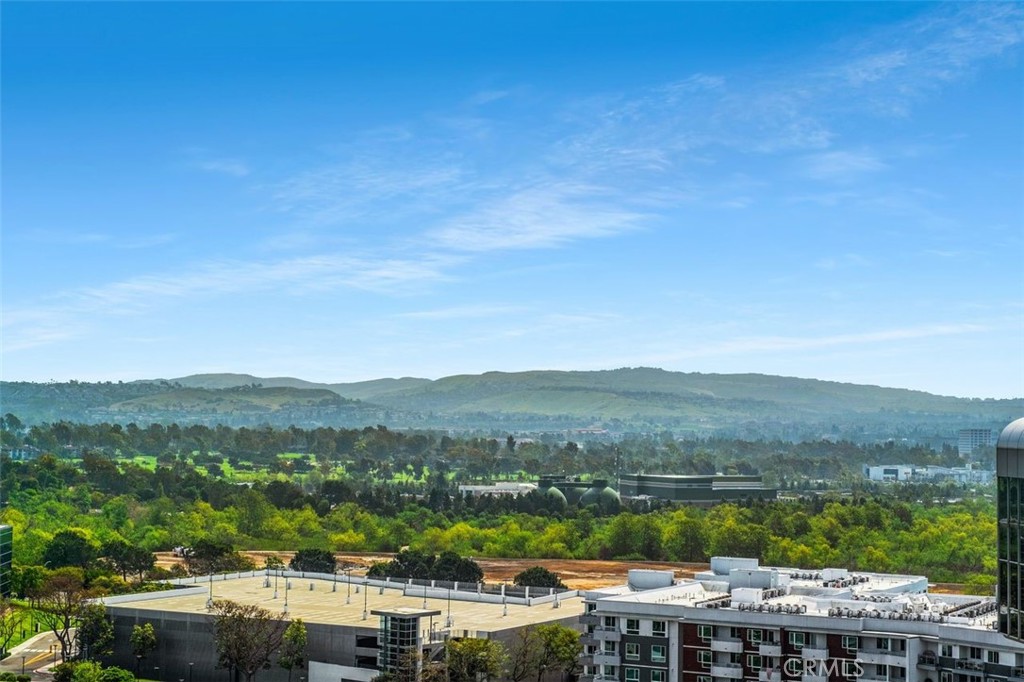 3131 Michelson Drive 1504