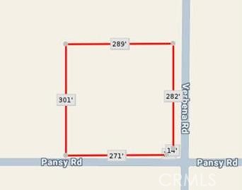 0 Pansy & Verbena 2acres Road