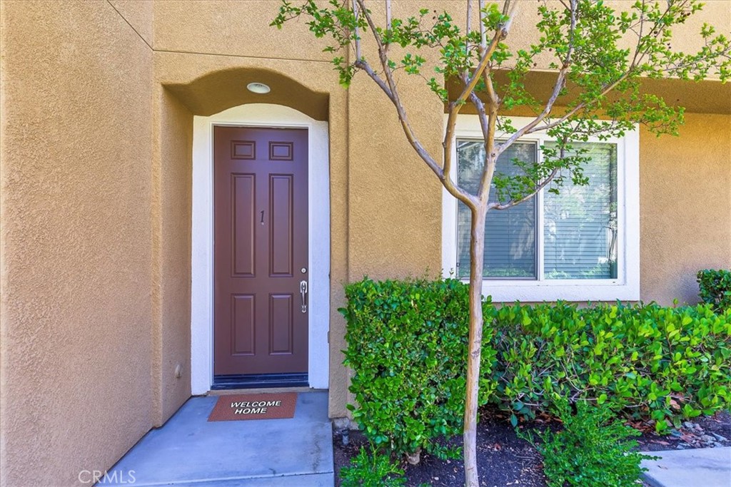 27569 Viridian Street 1