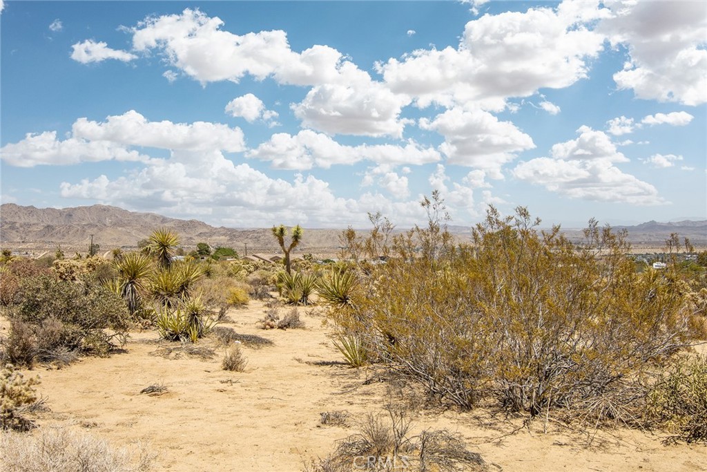 61246 Melton Trail