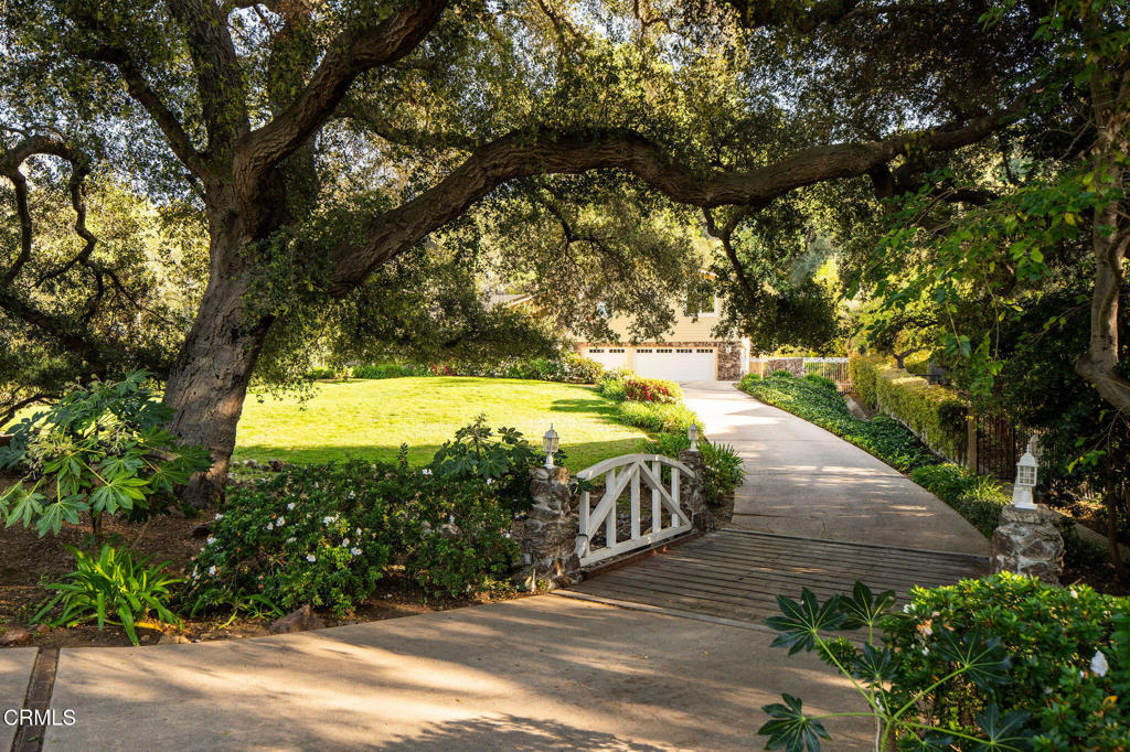 31730 Saddletree Drive