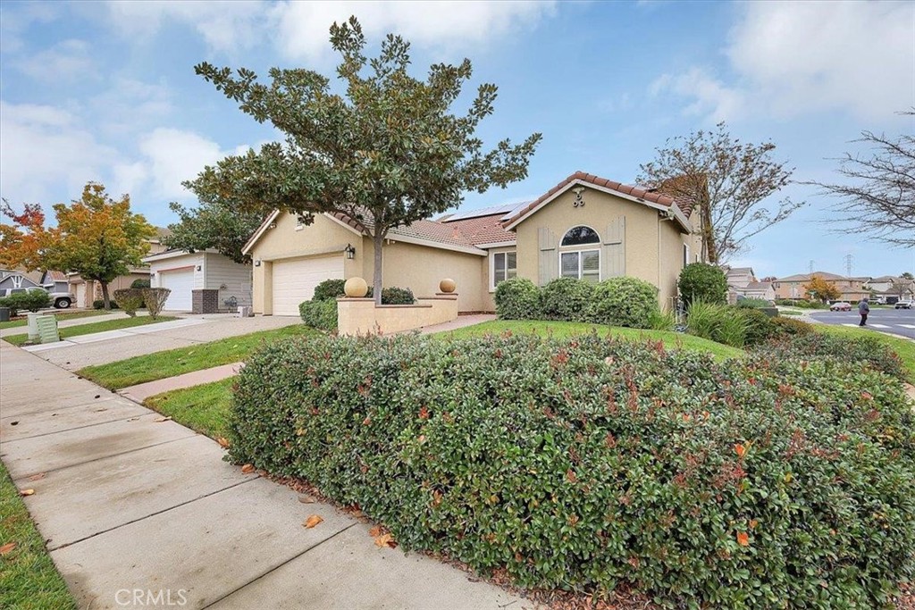 2049 Stone Wood Loop