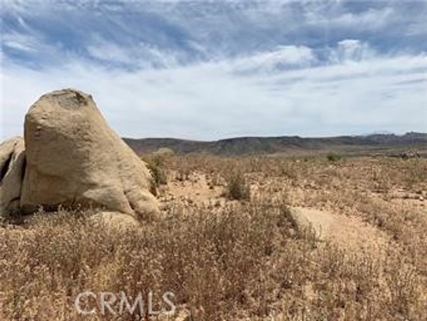 This is a very special parcel in beautiful Pipes Canyon.  Property is steps away from Sand to Snow National Monument with fantastic hiking trails!  There is deeded access to the property.  Power is nearby.  You will need to drill a water well.  Buyer to verify with county that this is a building lot.