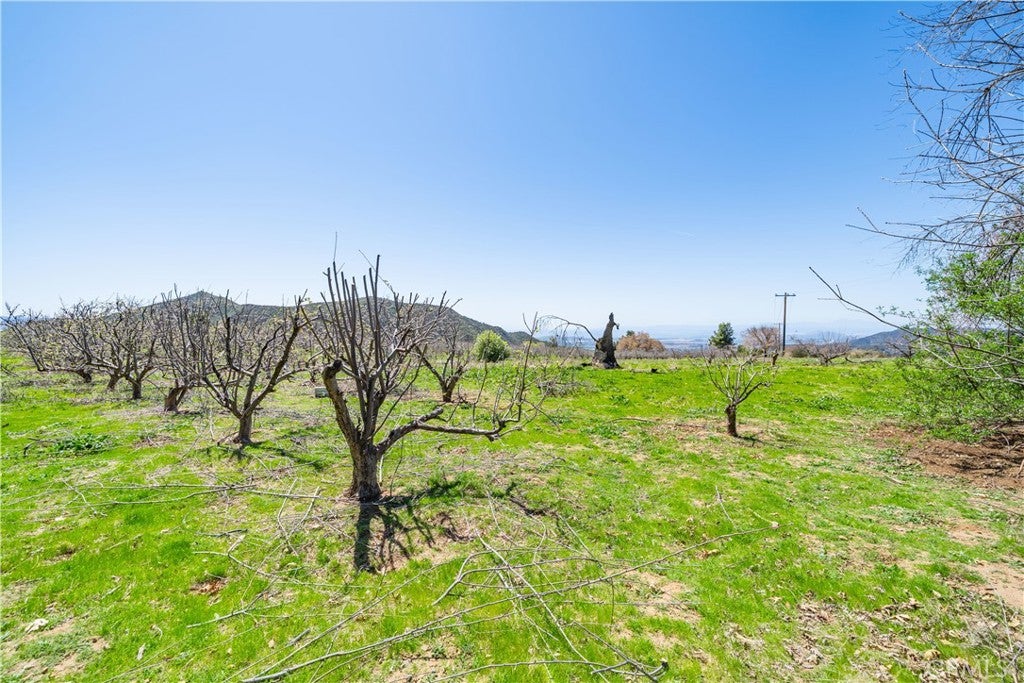 13557 Mile High Ranch