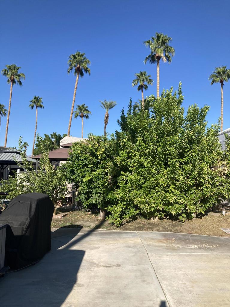 Outdoor Resorts Palm Springs - Land