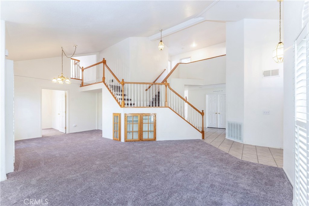 42966 Avenida Gato