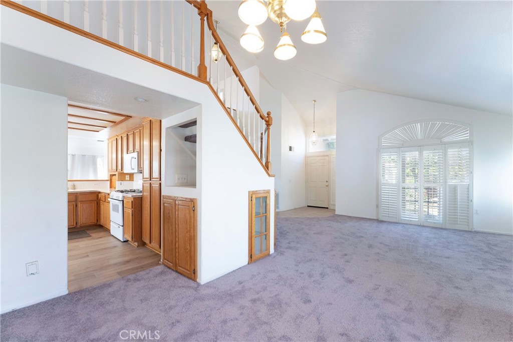 42966 Avenida Gato