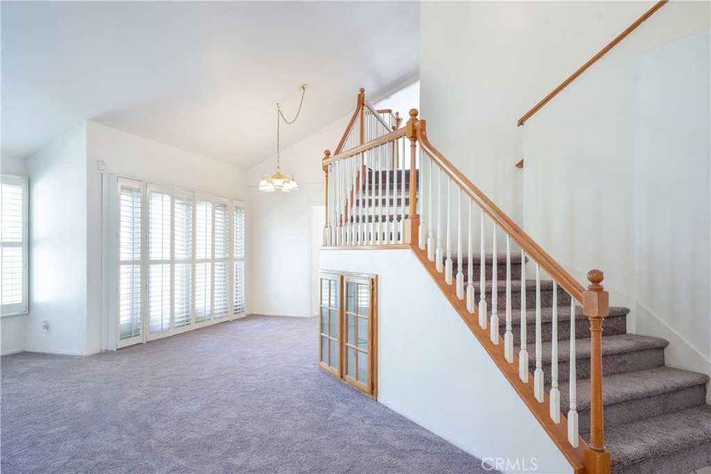 42966 Avenida Gato