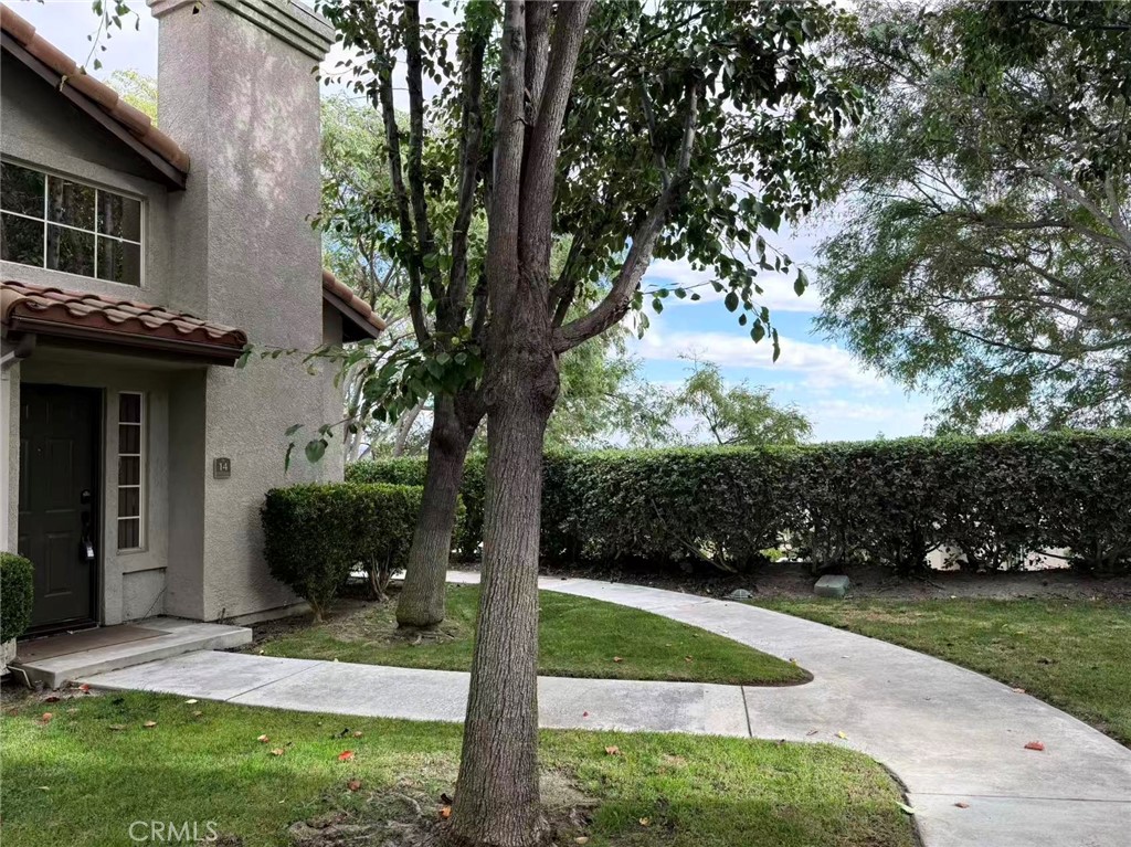 Windflower (WFL) - Residential Lease