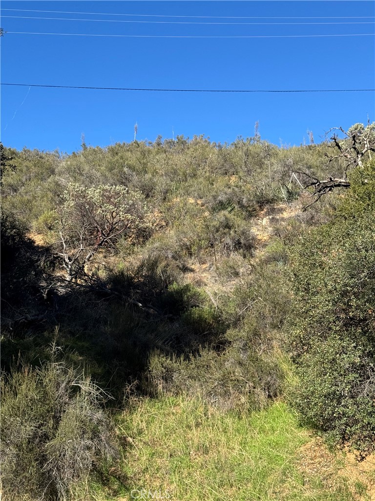 0 VAC/SAN FRANCISQUITO CYN