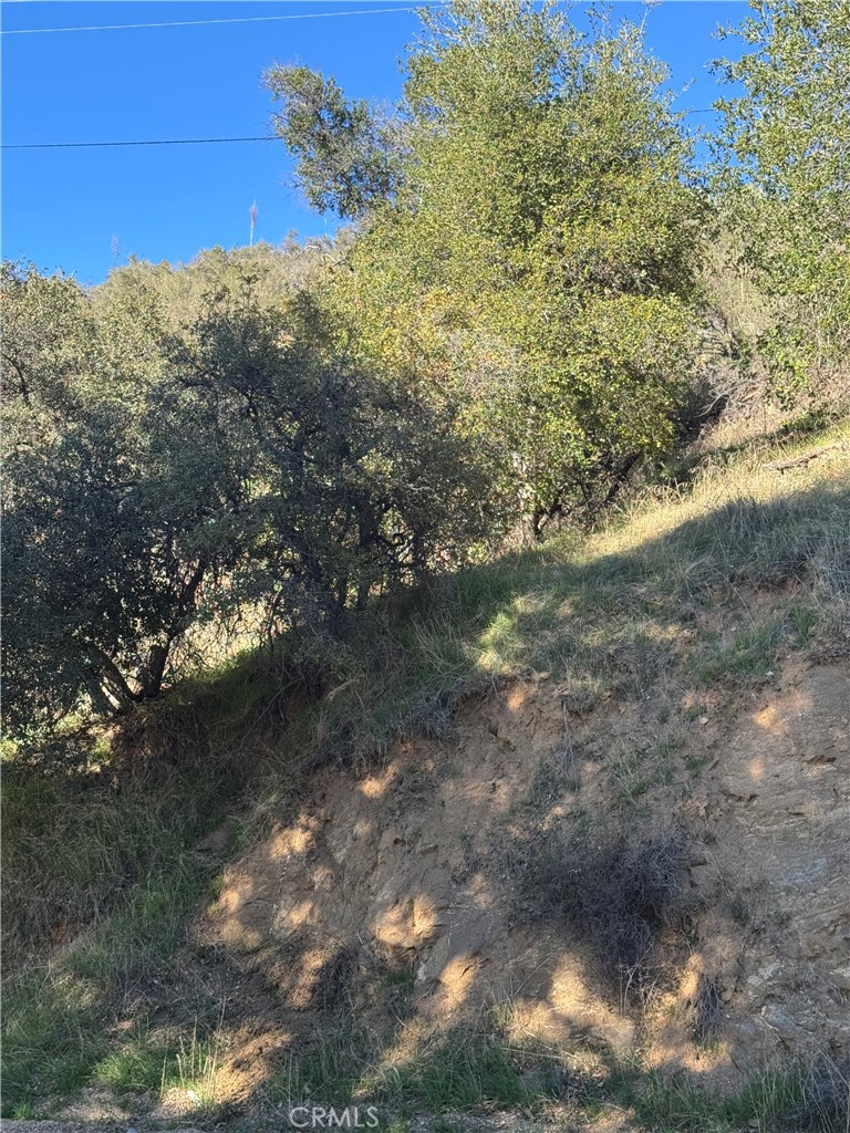 0 VAC/SAN FRANCISQUITO CYN