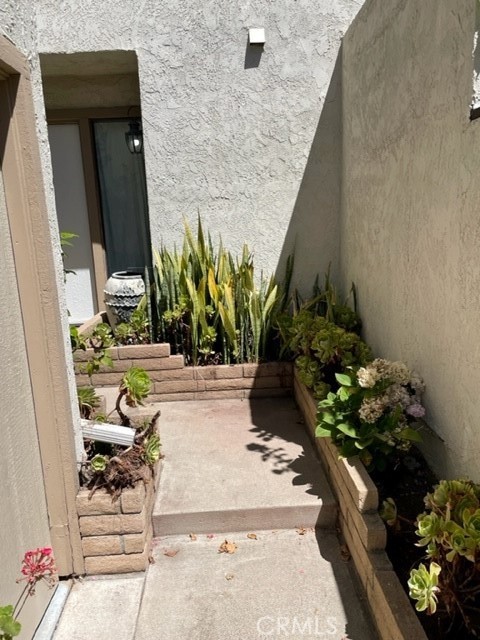22809 Chardonnay Drive 2