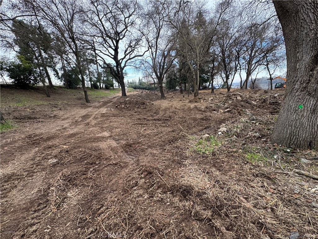 1899 Garden Hwy