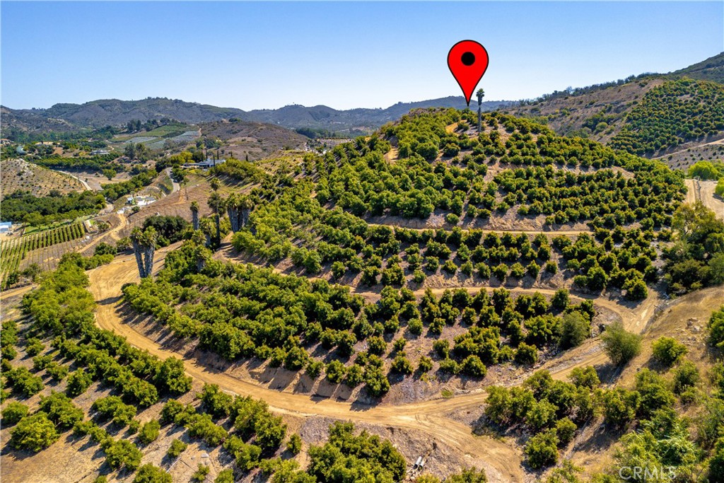 Extraordinary 21 acre hilltop knoll property offers sweeping 360-degree breathtaking panoramic views to build your custom dream estate! This is a rare opportunity to own a gated, mostly fenced professionally managed avocado grove along with 2 acres of approximately 280 Mexican sweet limes. The avocado grove with approximately 1400 premium top-tier Dusa rootstock Hass avocado trees is meticulously maintained and expertly overseen by McMillan Farm Management. This is a young grove with trees ranging from 5 to 9 years old in excellent condition and will grow into fully producing trees in the next few years. They have already been showing a consistent increase in productivity. The lower back portion of the parcel is planted with 2 acres of sweet limes, it is flat and gentle land for additional developmental possibilities and an area of mature oak trees that enhance the property’s natural beauty. This lush setting provides privacy and the perfect backdrop for creating your own piece of paradise with ample room for an ADU or guest house, workshop or expanding the land to be planted with other crops. Property has a 2” water meter and utilities are in the street. Don’t miss out on this exceptional property where you can enjoy the best of both worlds: a tranquil country lifestyle with close proximity to Old Town Temecula, shopping, Temecula wineries, and easy access to I-15. There is Financing Available with Stated income loans with as little as 15% down and 10-year fixed rates for qualified buyers.