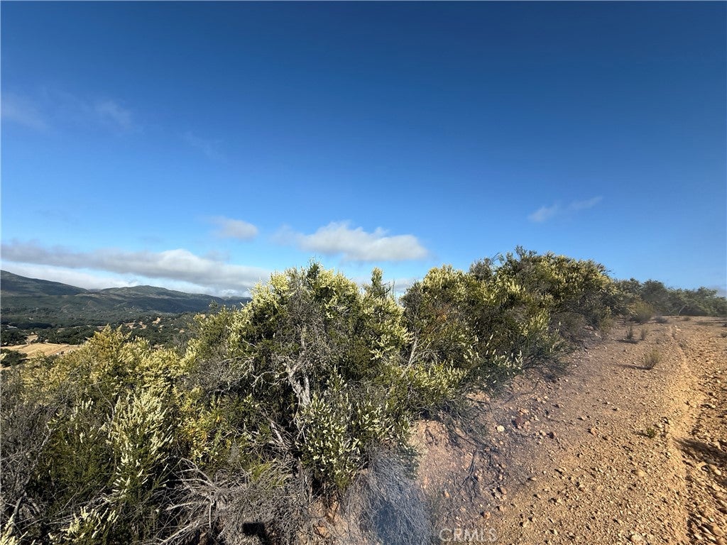 76386 Bryson Hesperia Road