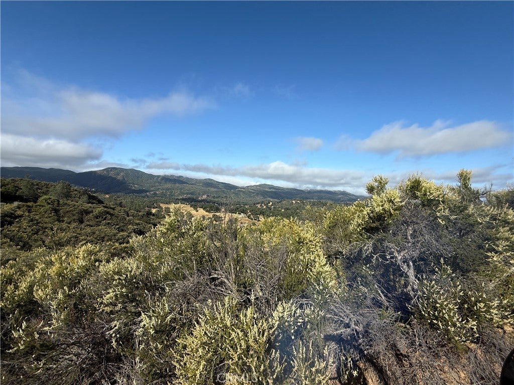 76386 Bryson Hesperia Road