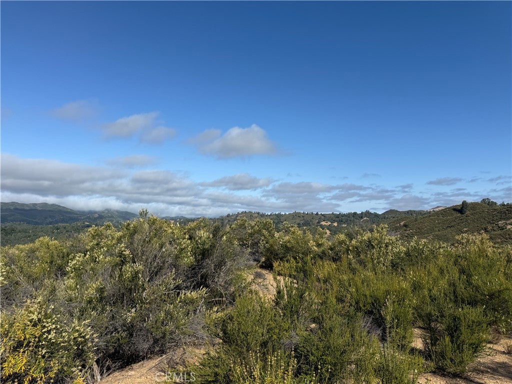 76386 Bryson Hesperia Road