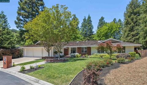 Photo of 27 Shawn Ct, Alamo, CA 94507 (MLS # 41134523)
