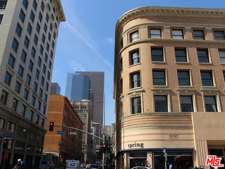 257 S Spring Street 4L