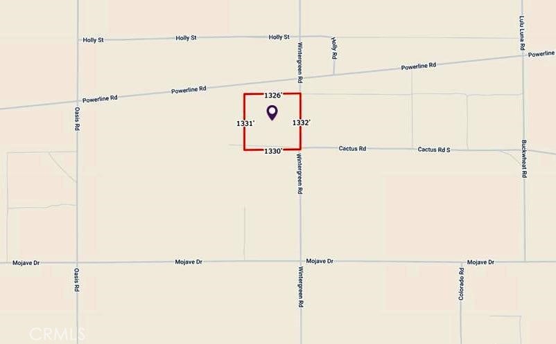 0 Cactus & Wintergreen 40-acres Road