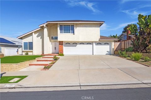 24601 seth circle dana point ca 92629