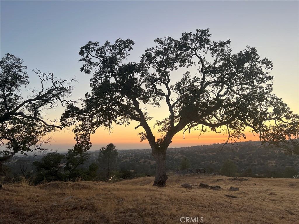 Views Views Views! Gorgeous 4.65 acre parcel overlooking the Valley below. Beautiful Sunsets, Valley Nightlights, and a Sneak-Peak of Lake Hensley. Great property to get away from it all and build your custom dream home. Great Horse property, backs up to large Ranch for additional privacy. Call agent if you need help viewing.