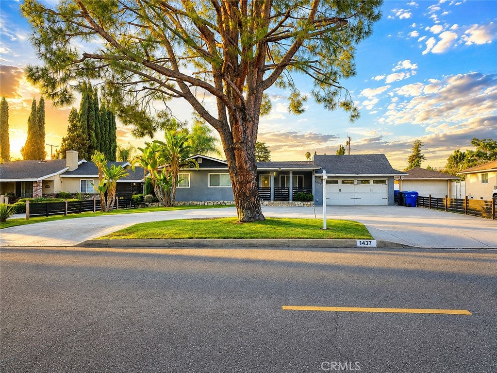 1437 E Vine