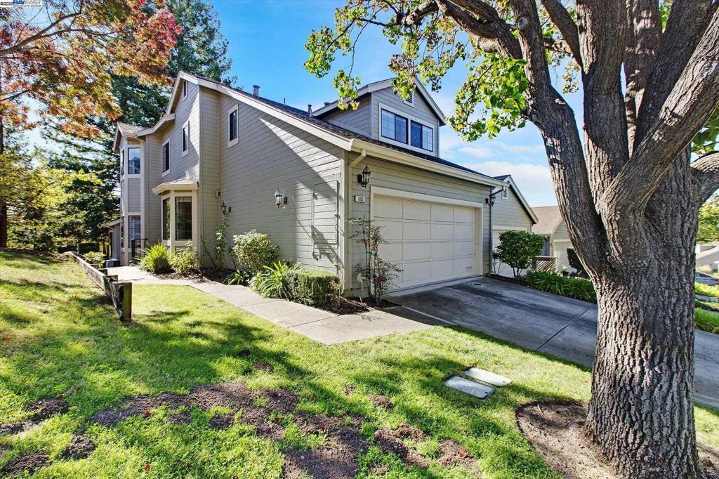 MEADOWS - Residential