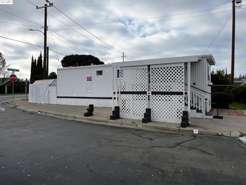 210 W Cypress Oakley CA 94561