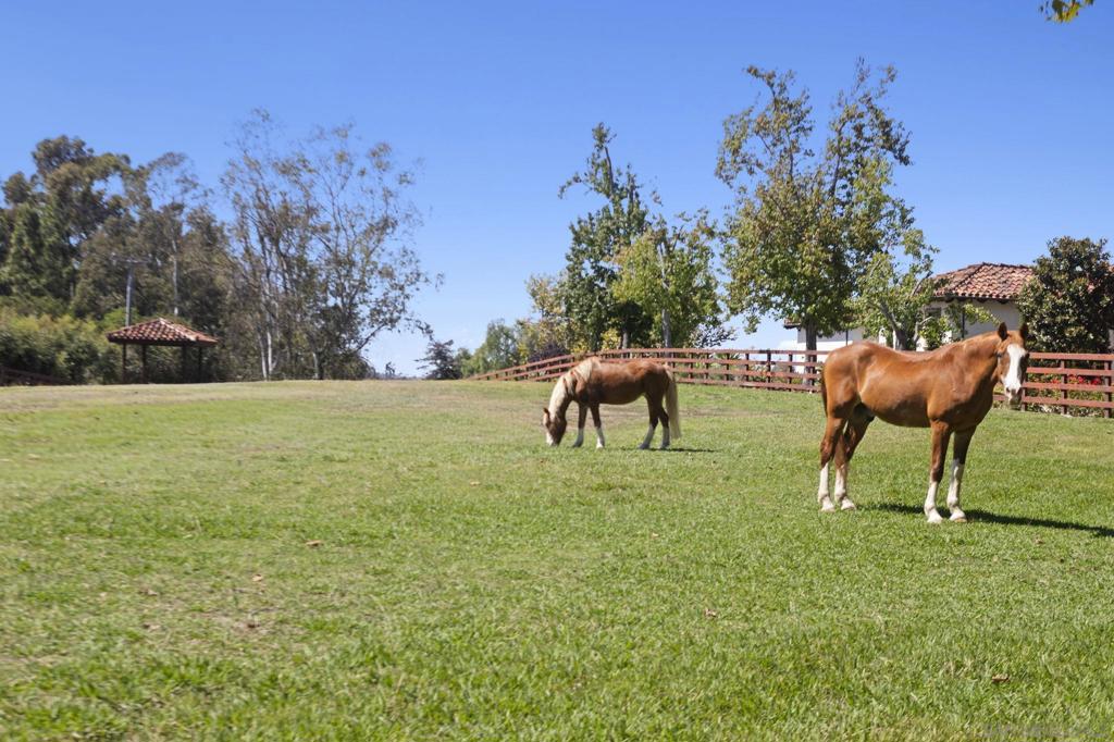 Rancho Santa Fe - Residential