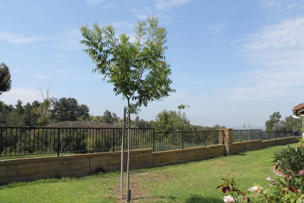 Casta Del Sol - Fiesta (CF) - Residential Lease