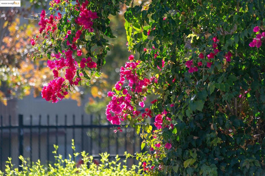 PARK WEBSTER - Residential