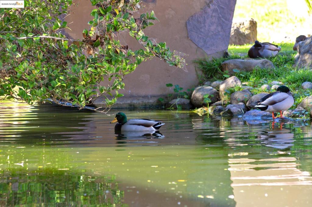 PARK WEBSTER - Residential