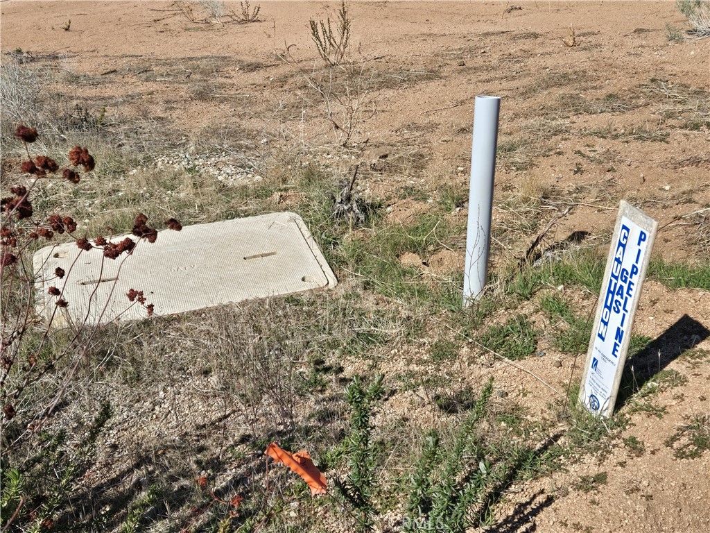 Custom Acton (CACTO) - Land