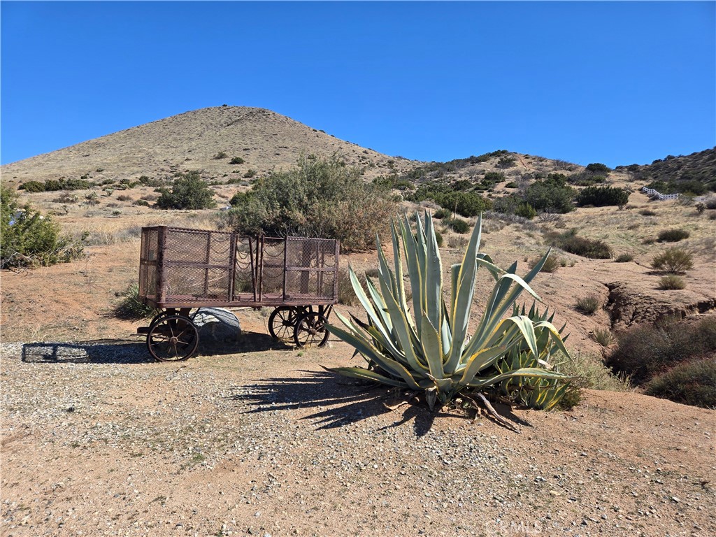 Custom Acton (CACTO) - Land