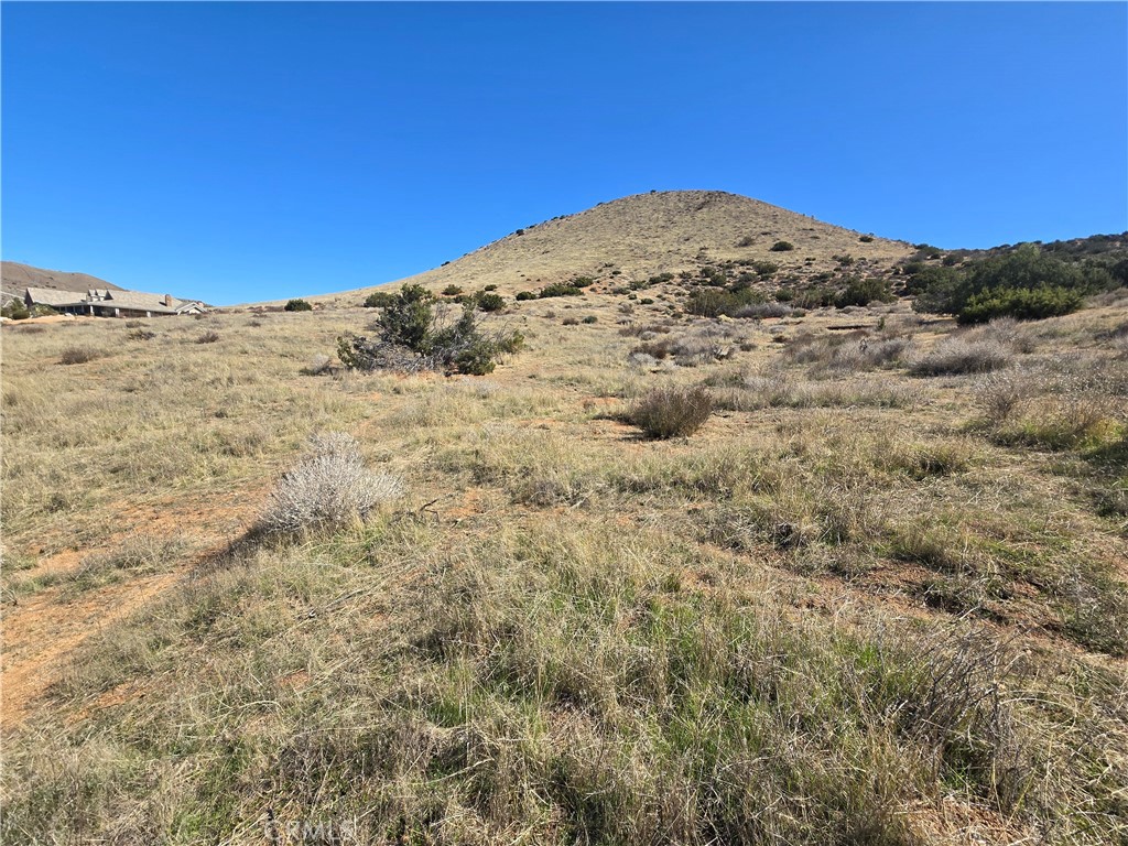 Custom Acton (CACTO) - Land