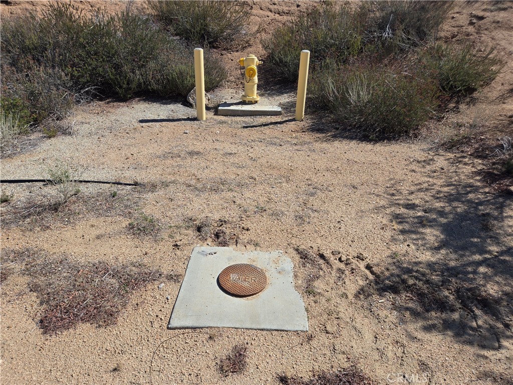 Custom Acton (CACTO) - Land