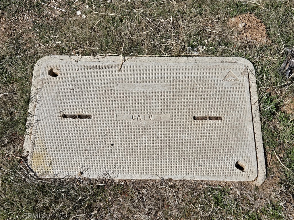 Custom Acton (CACTO) - Land