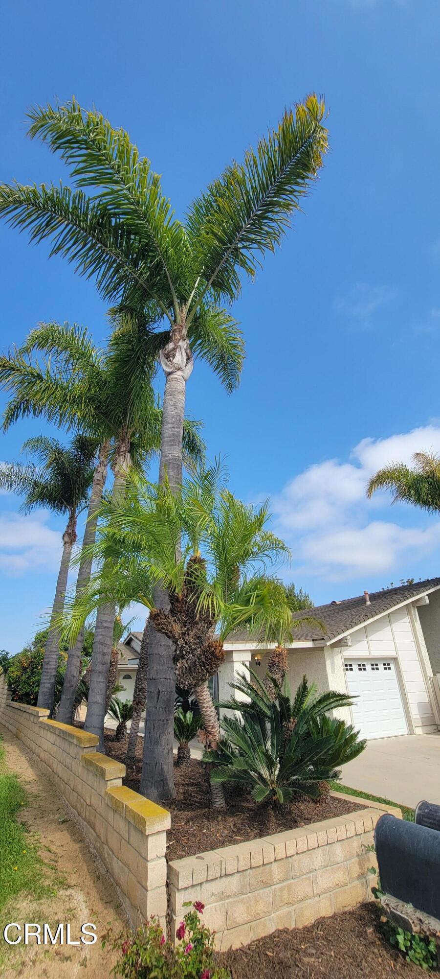 854 Creekside Circle
