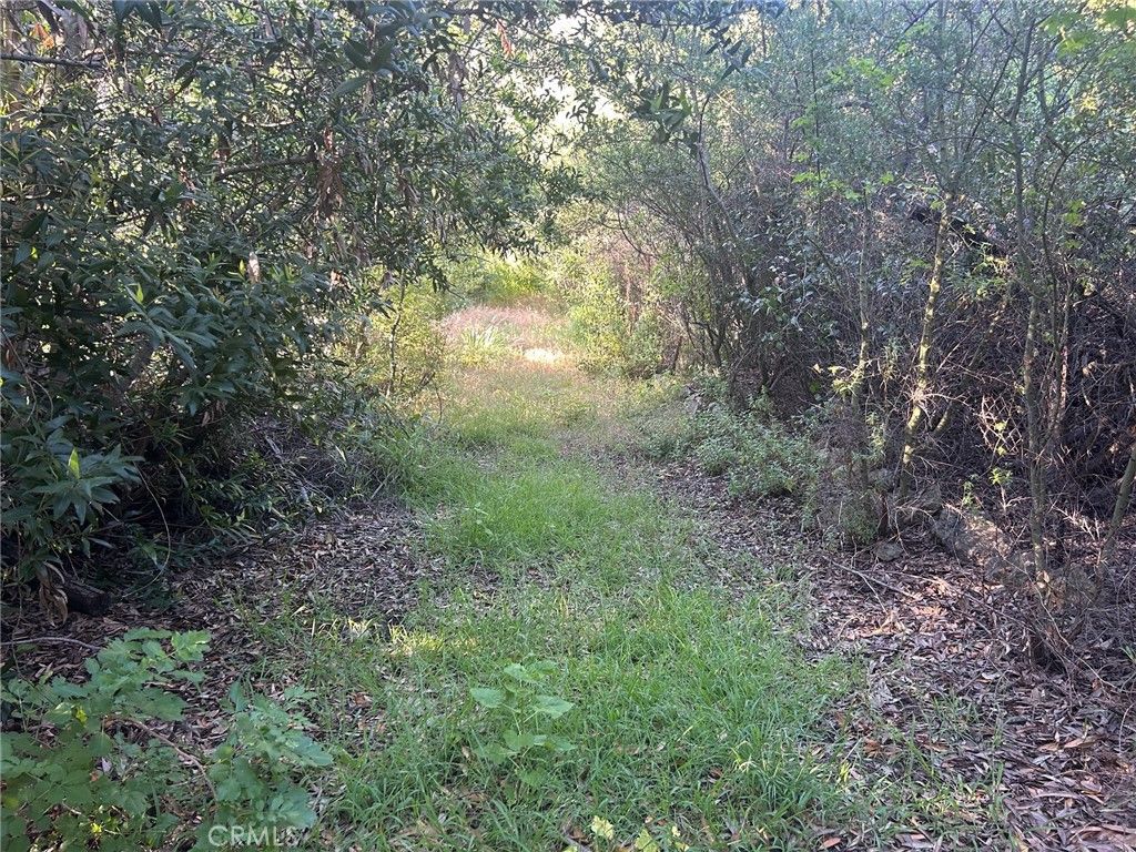 Photo of 1455 Barrymore, Malibu, CA 90265 (MLS # SR26078407)