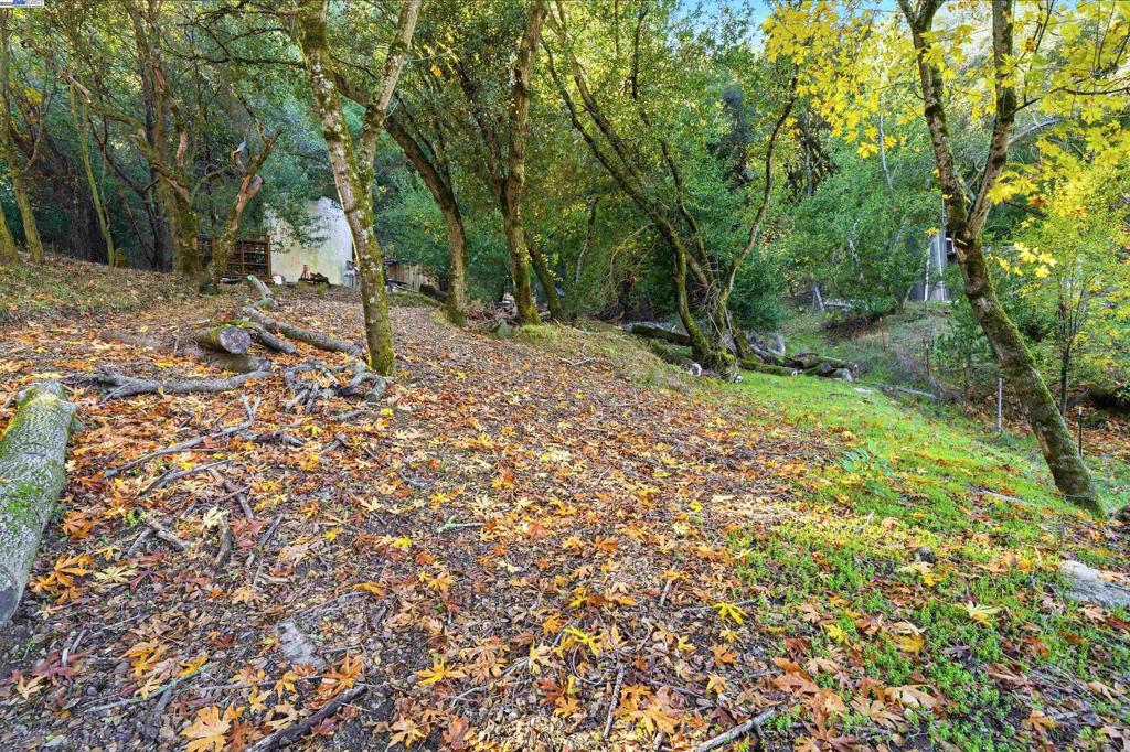 PALOMARES CANYON - Residential