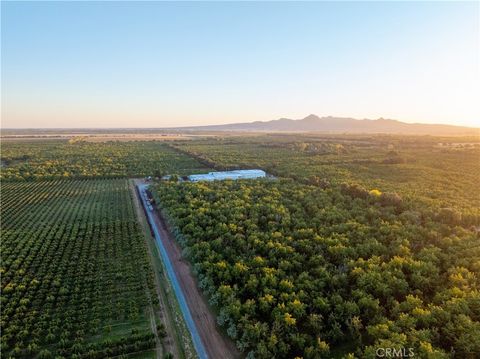Photo of 459 W Evans Reimer Road Rd, Gridley, CA 95948 (MLS # SN25278717)