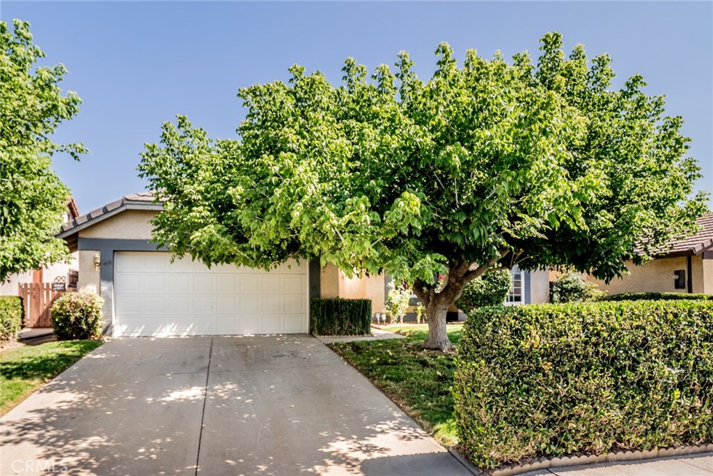 Home nestled in a quiet cul-de-sac of Moreno Valley in a desirable neighborhood. This home offers the perfect blend of suburban comfort and city convenience. Single story home awaits you in one of the quiets neighborhoods of the city. This well-maintained 3-bedrooms, and 2 bathrooms home offers comfort, convenience, and a great value in the heart of the Moreno Valley near from Moreno Valley mall, restaurants, grocery stores, John’s Incredible Pizza, 60 and 215 freeways. Inside the home, you’ll find a spacious living room with a fireplace located at the living area. The floor plan is mix of tile, and carpet flooring throughout. The backyard is perfect for outdoor gatherings, providing shade, privacy and a serene retreat. At the back yard you will find a combination of 7 fruit trees. Two cacti, a lemon, guava, avocado, apricot, two pomegranates, and a fig. At front, you'll be able to relax under the shade tree. this home is close to shopping centers and schools combining comfort, convenience, fun, and captivating views all in one. This home blends style, comfort, and functionality in a serene setting you’ll love coming to home.
