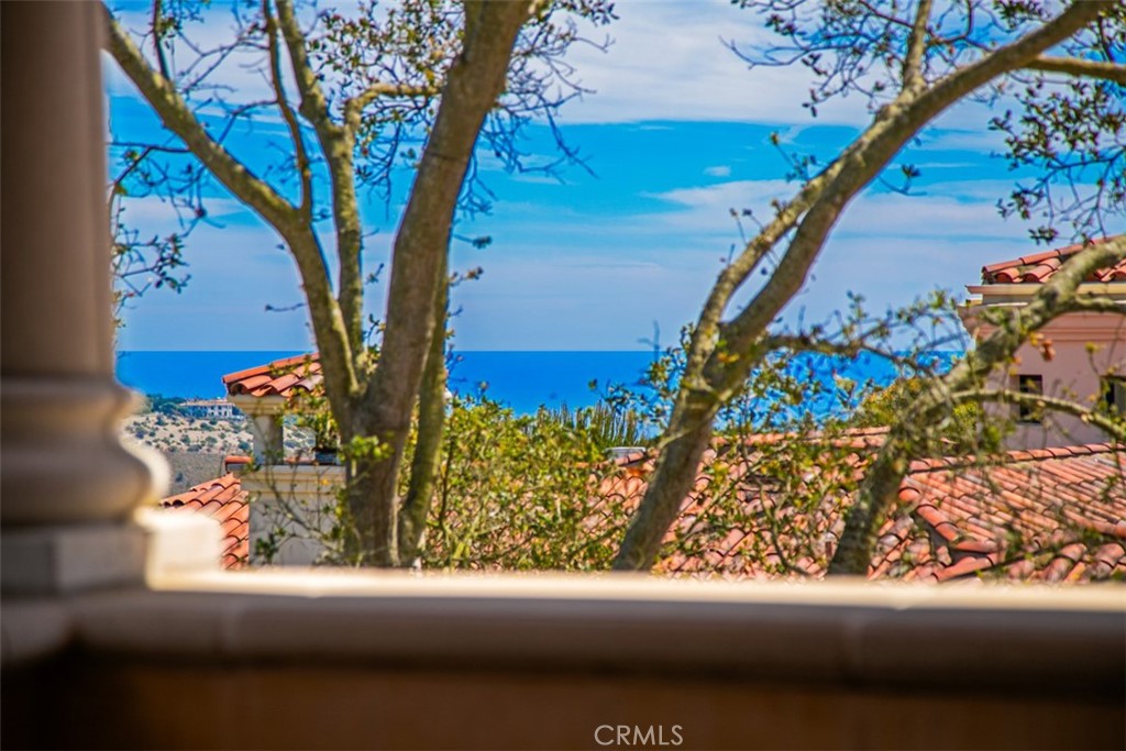 4 Clearview, Newport Coast CA 92657 - Photo 40